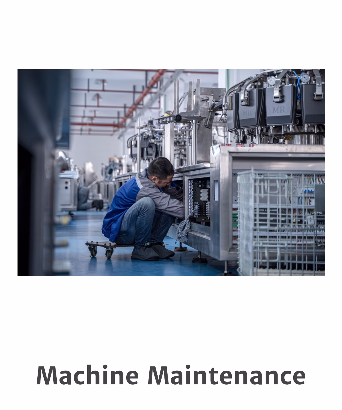 Maintenance